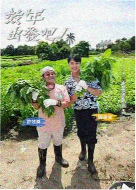 棚内竞技综艺档案封面详图