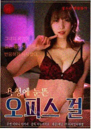 剧集档案缩略图，用于高分归档榜单